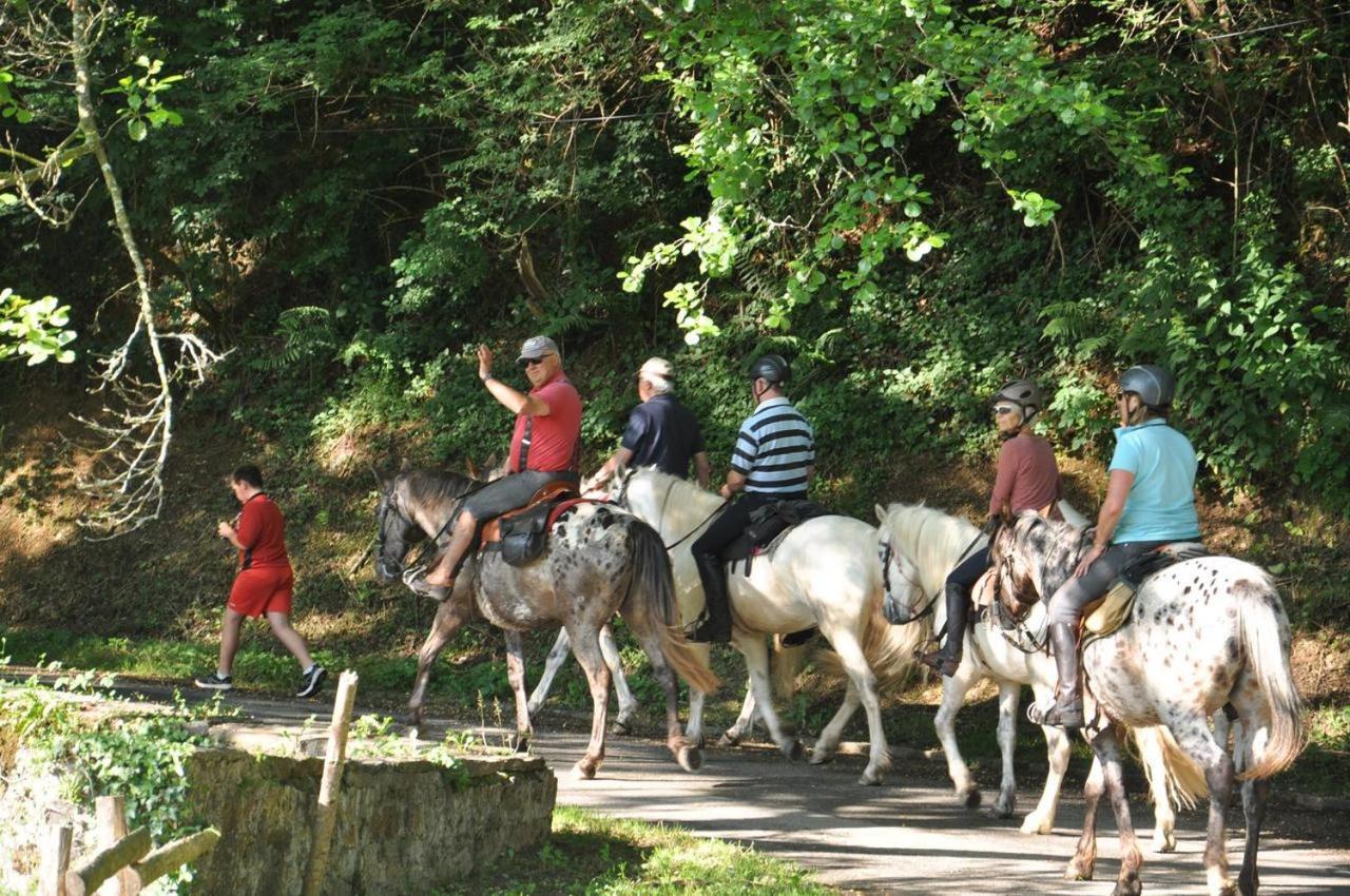 Les Chalets Du Moulin Du Chatain 4 Payzac  Buitenkant foto